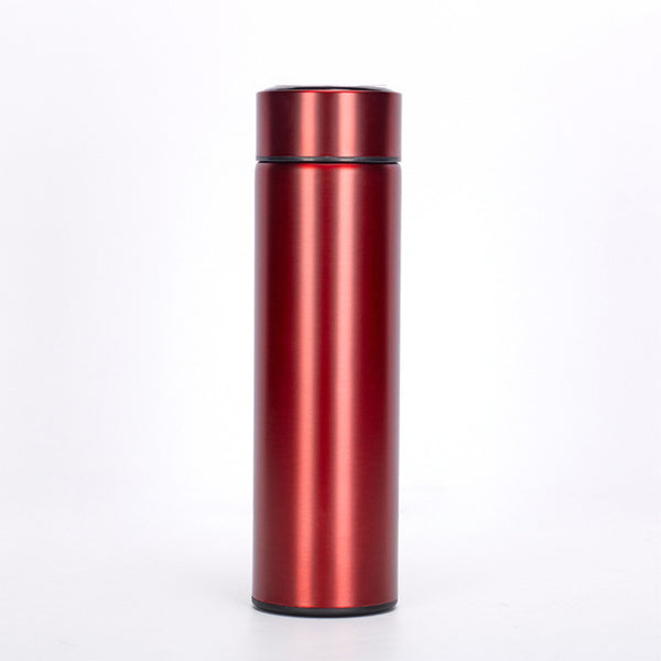 ThermoSip Intelligent Temperature Display Vacuum Water Cup
