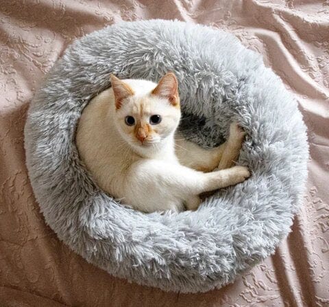 Calming Pet Bed - SnuggleNest - Anti-Anxiety Dog Cushion - Soft Washable Design