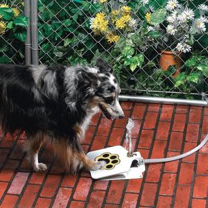 Outdoor Dog Water Fountain | Paw-Activated Pet Drinking Fountain with 41" Hose & Splitter | Fresh Running Water On Demand