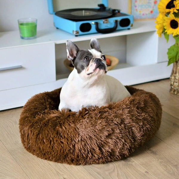 Calming Pet Bed - SnuggleNest - Anti-Anxiety Dog Cushion - Soft Washable Design
