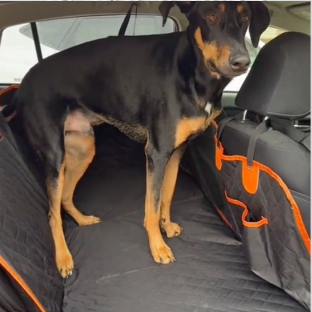 Pet Car Seat Cover – Heavy-Duty Back Seat Protector