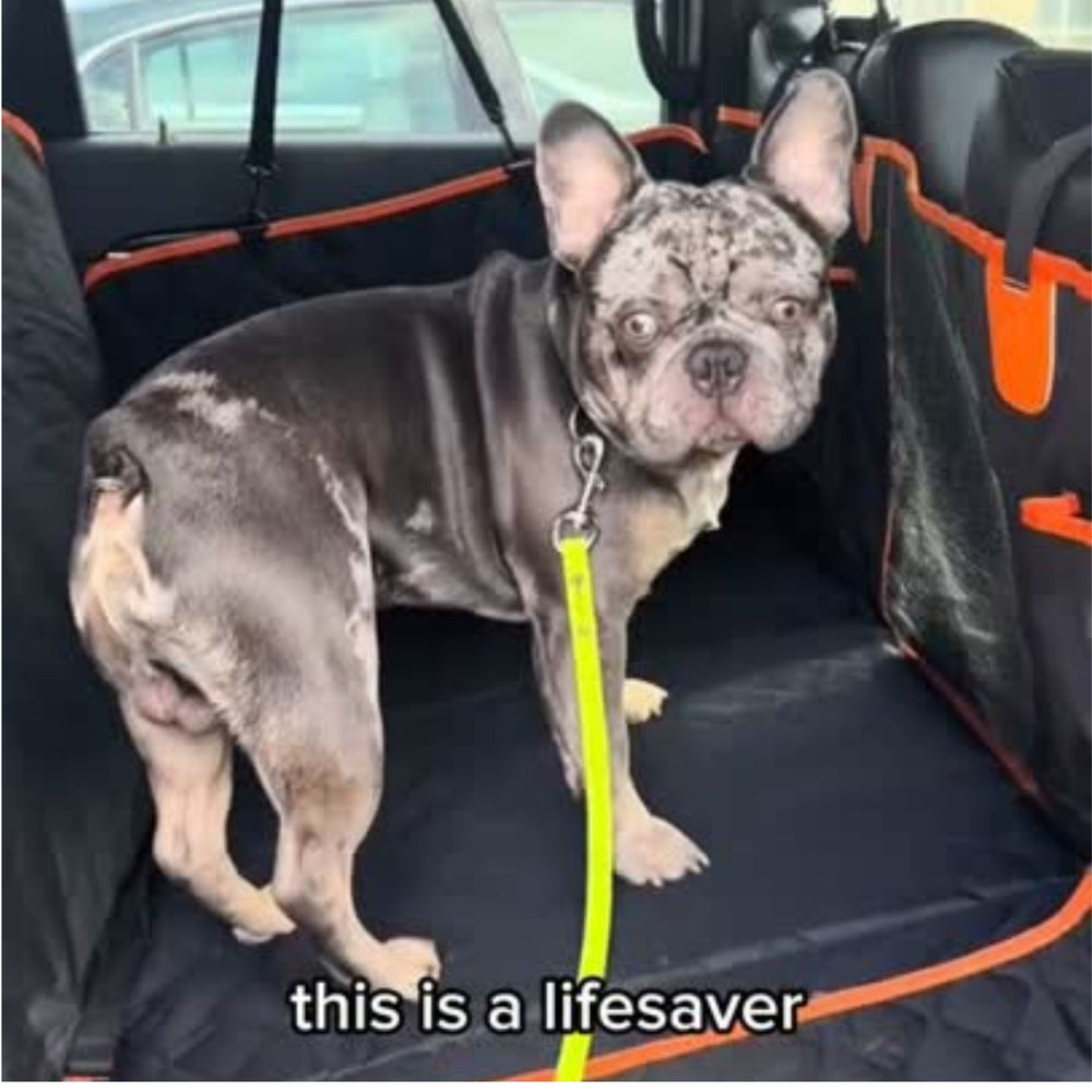 Pet Car Seat Cover – Heavy-Duty Back Seat Protector