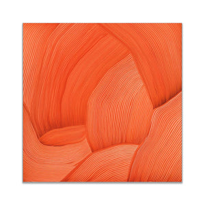 3D Line Drawing 36" x 36" Fine Art Canvas