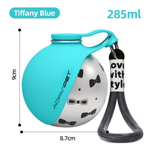 Portable Stainless Steel Dog Water Bottle & Built-In Bowl
