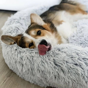Calming Pet Bed - SnuggleNest - Anti-Anxiety Dog Cushion - Soft Washable Design