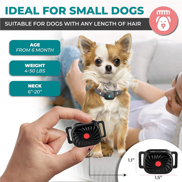 Anti Bark Collar – Barkiva – Small Dog Training Aid – Waterproof Pet Device