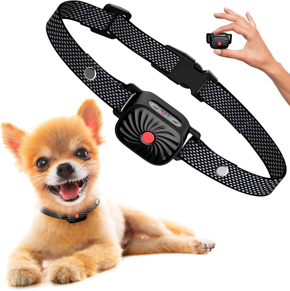 Anti Bark Collar – Barkiva – Small Dog Training Aid – Waterproof Pet Device
