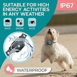 Anti Bark Collar – Barkiva – Small Dog Training Aid – Waterproof Pet Device