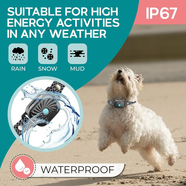 Anti Bark Collar – Barkiva – Small Dog Training Aid – Waterproof Pet Device