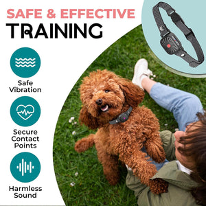 Anti Bark Collar – Barkiva – Small Dog Training Aid – Waterproof Pet Device