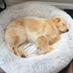 Calming Pet Bed - SnuggleNest - Anti-Anxiety Dog Cushion - Soft Washable Design