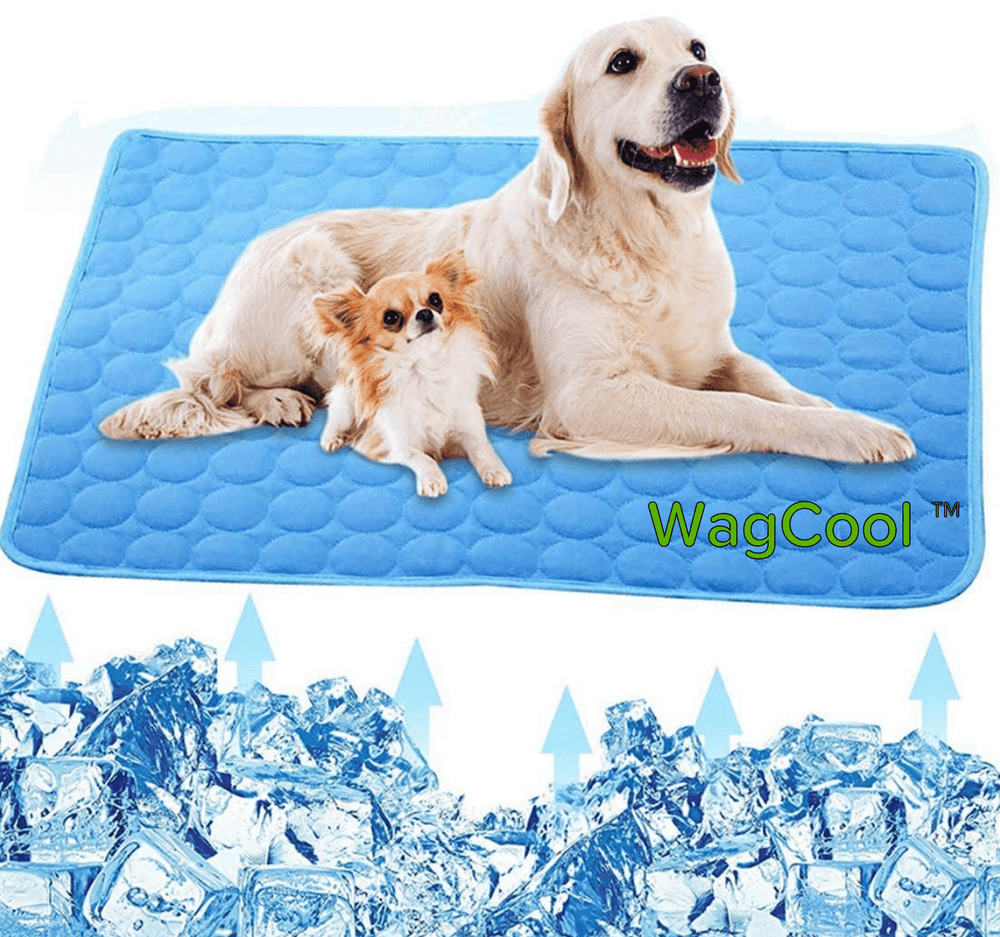 Calming Dog Bed - Pawora - Anti-Anxiety Pet Cushion - Orthopedic Comfort