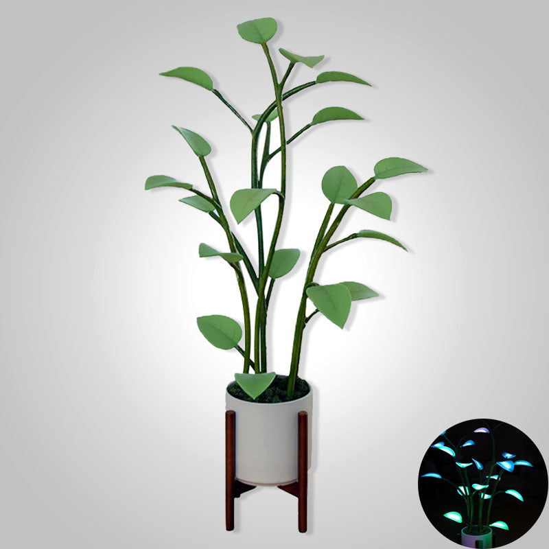 LED Plant Lamp - Lumora - Color Changing Light - Magical Home Decor