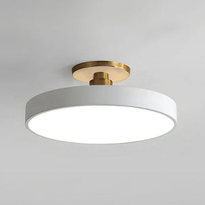 Modern Circular Flush Mount Ceiling Light | Energy-Efficient LED Fixture with Long Lifespan for Bright Spaces 13