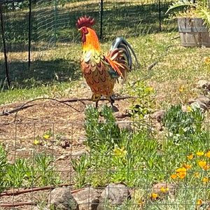 Metal Garden Statue - Solara - Vibrant Rooster Sculpture - Outdoor Decor
