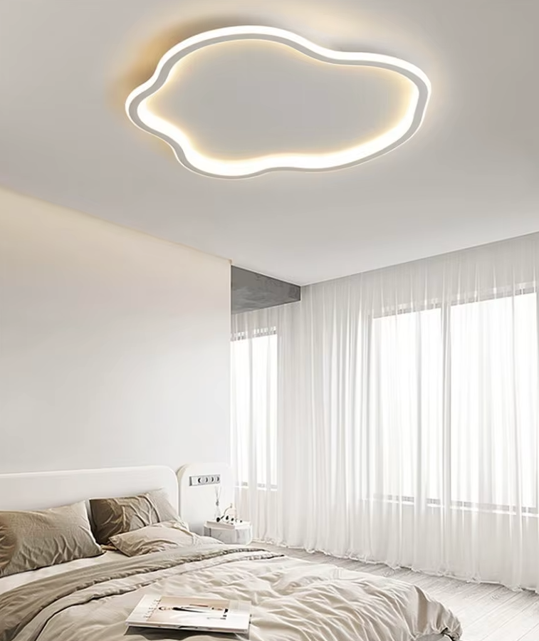 Modern  LED Ceiling Light