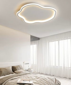 Modern  LED Ceiling Light
