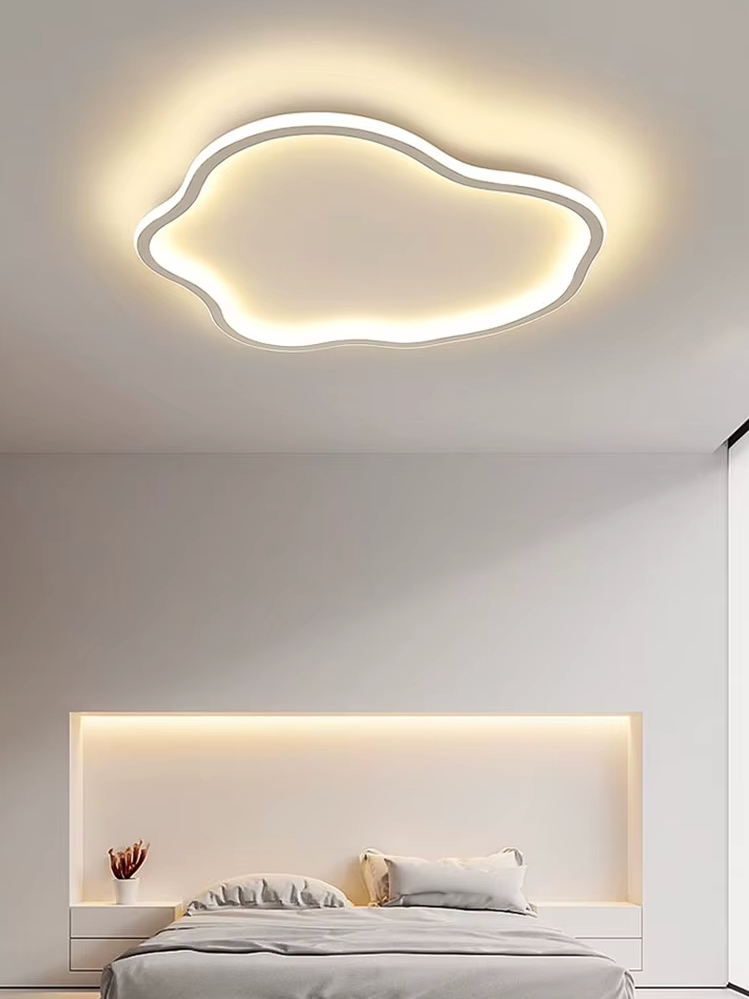 Modern  LED Ceiling Light