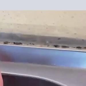 Mould and Mildew Gel Cleaner