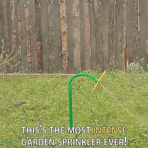 Dancing Daisy & Sunflower Garden Sprinkler | Funny Spinning Lawn Sprinkler for Kids & Pets | Fits Standard Garden Hoses