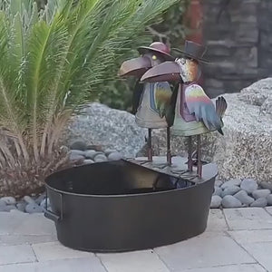 Bird Fountain Garden Ornament | Flowing Water Feature with Electric Pump | Owl, Crow & Rooster Designs