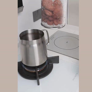 Stainless Steel Fryer