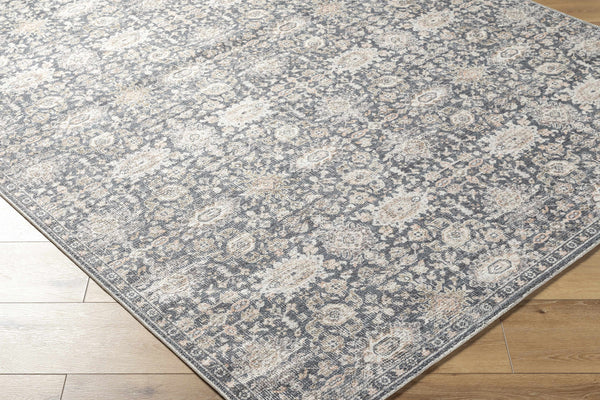 Semaj Area Rug - Clearance