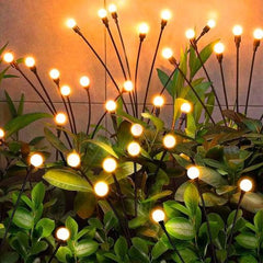 Firefly Solar Lights